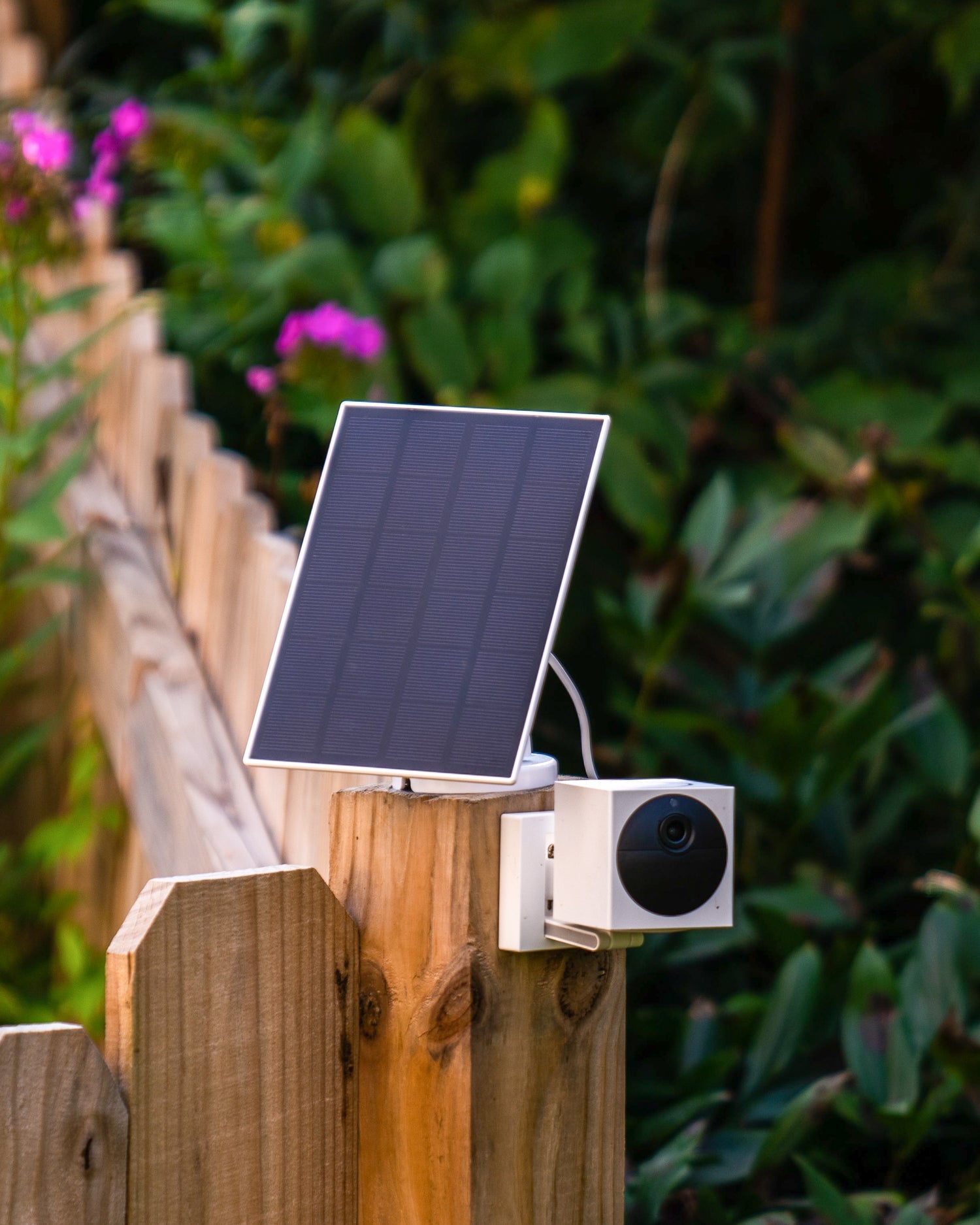 Wyze cam hot sale solar panel